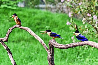 《严阵以待》主机版销量超100万套 仅用了4天时间